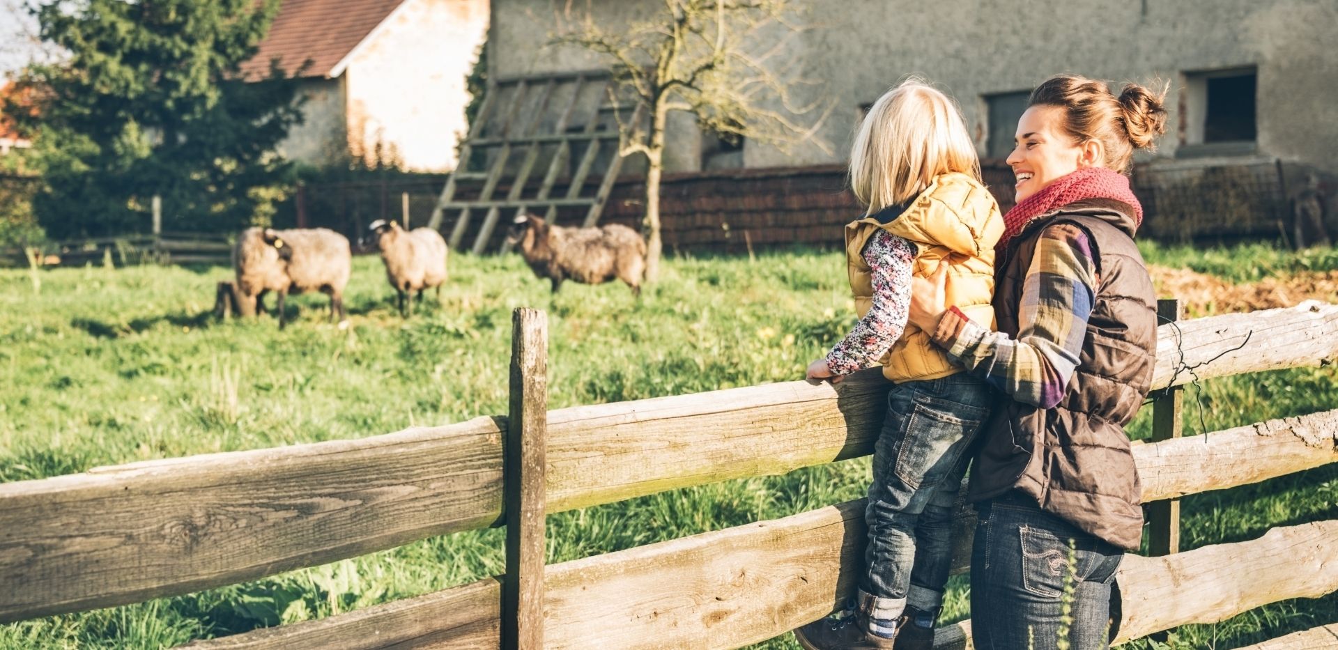 Les Fermes A Visiter Cet Ete Qblog