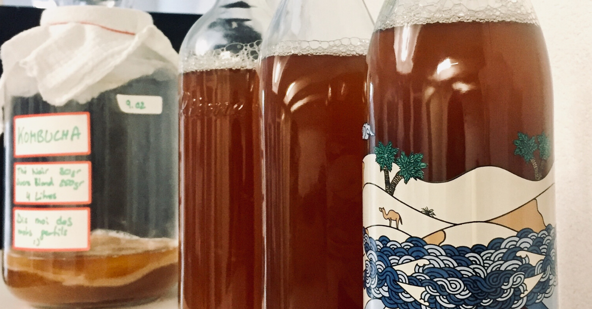 Fermentations Maison Le Kombucha Mode D Emploi Qblog Fermentations Maison Le Kombucha Mode D Emploi Qblog